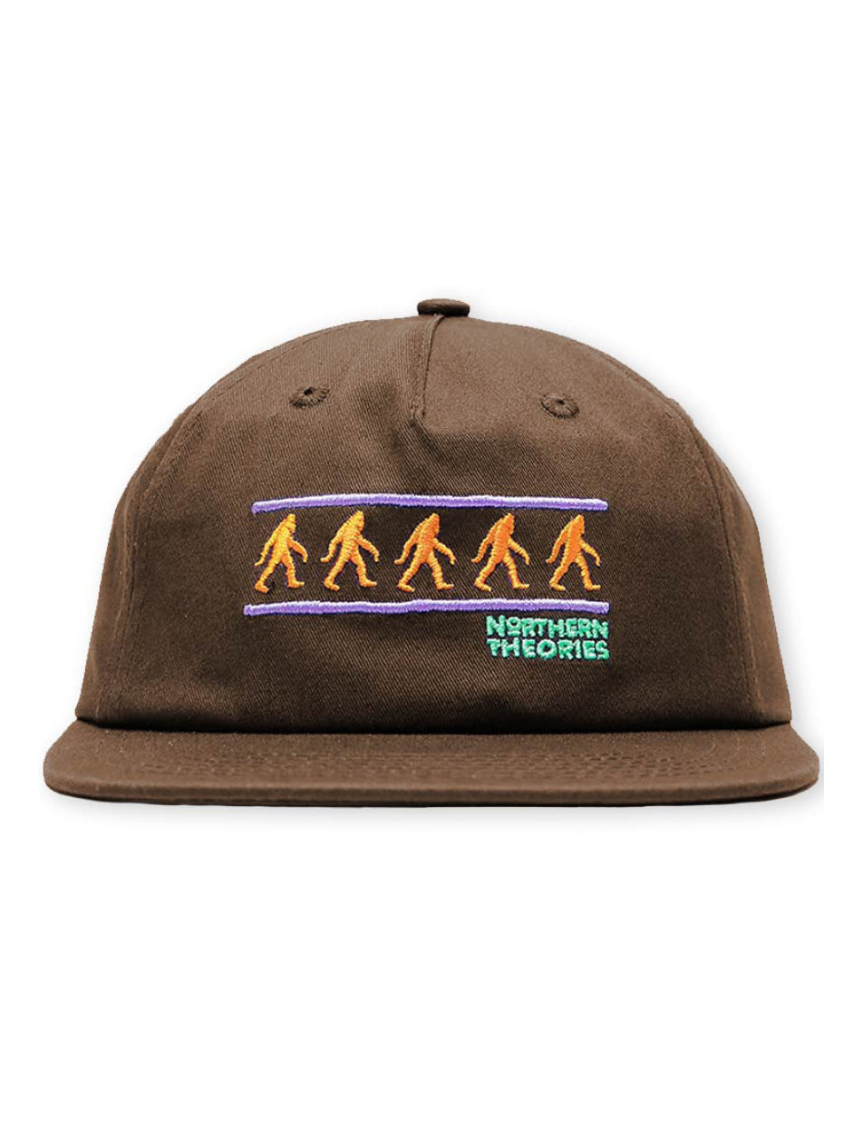 Theories Northern Theories Snapback - Brown