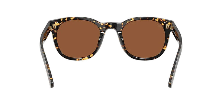 Costa Middles - Tortoise / Copper 580G