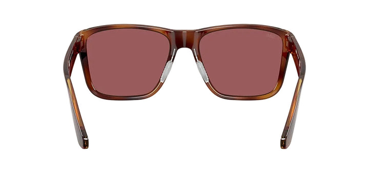 Costa Los Alijos - Tortoise / Gold