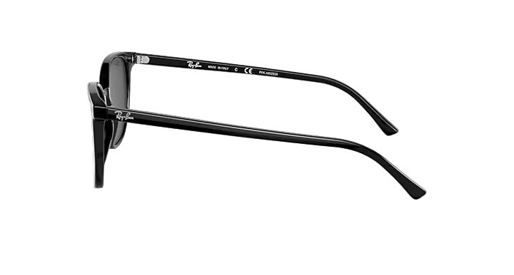 Ray-Ban Elliot - Black w/ Polar Black