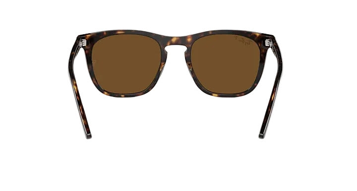 Ray-Ban RB2210 - Havana w/ Polar Brown