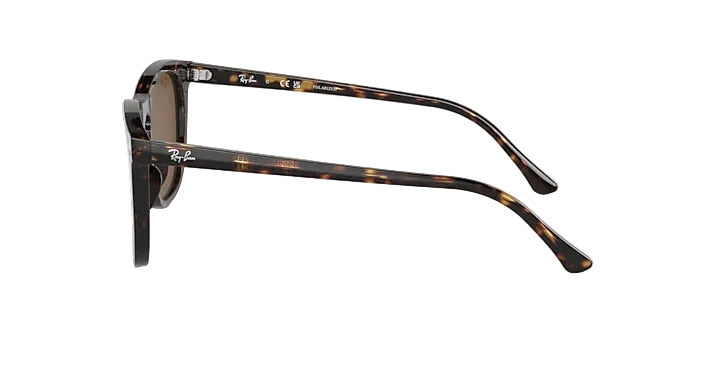 Ray-Ban RB2210 - Havana w/ Polar Brown