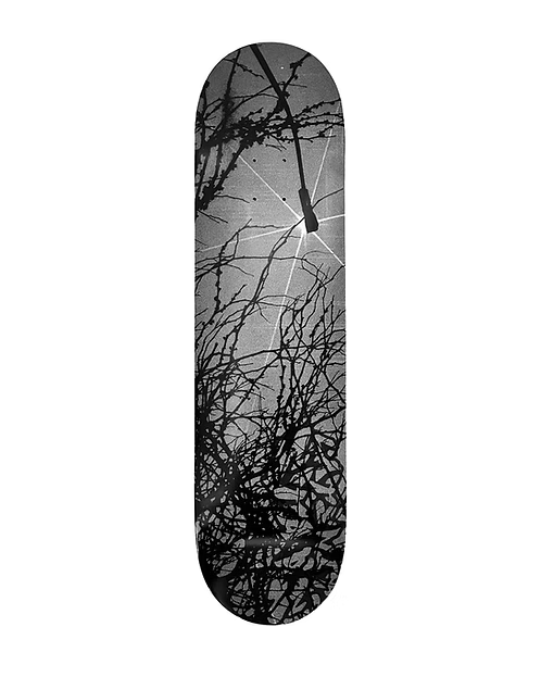 Late Nite Stars LNS Roots Deck - 8.38