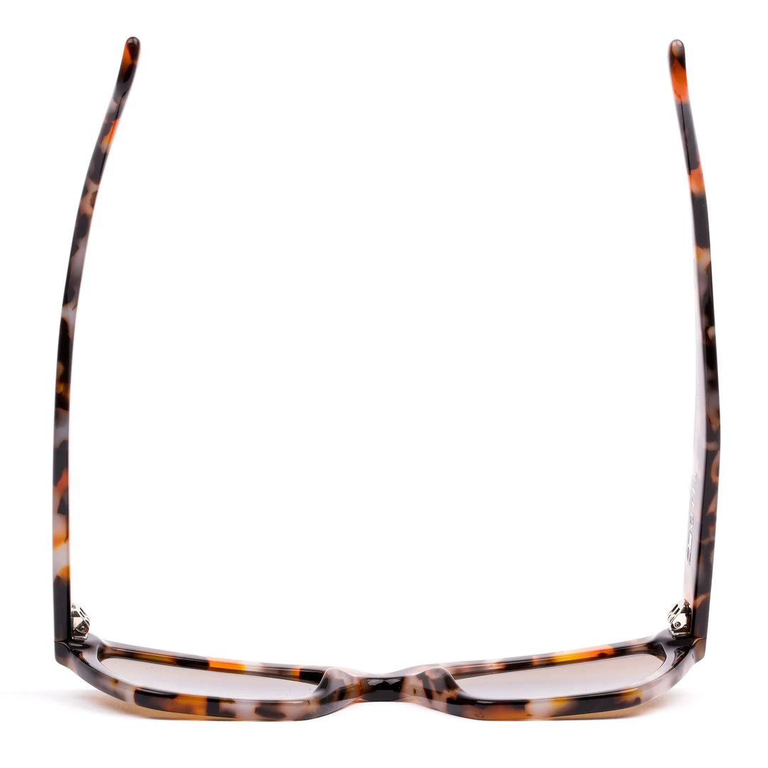 Otis Reputation - Eco Havana Orange