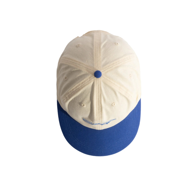 Coal Evergreen Cap - Bone / Blue
