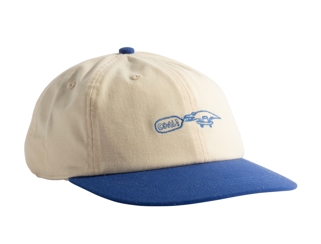 Coal Evergreen Cap - Bone / Blue