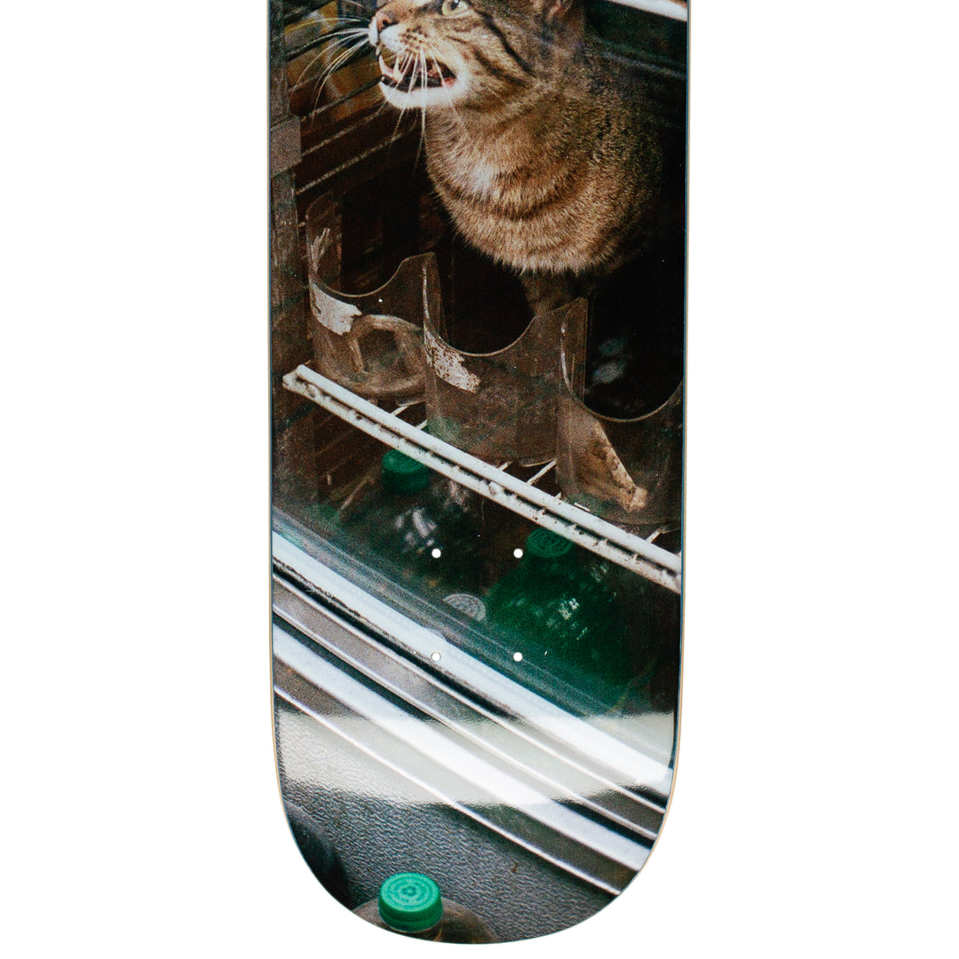 GX1000 Bodega Cat Deck - 8.375