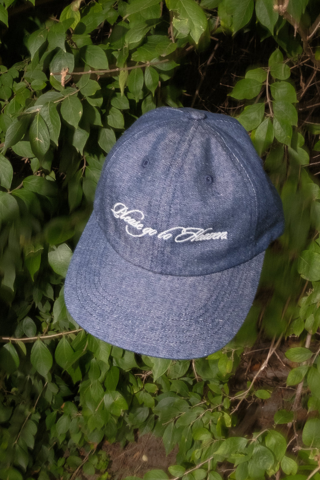Quasi Heaven 6 Panel Hat - Indigo