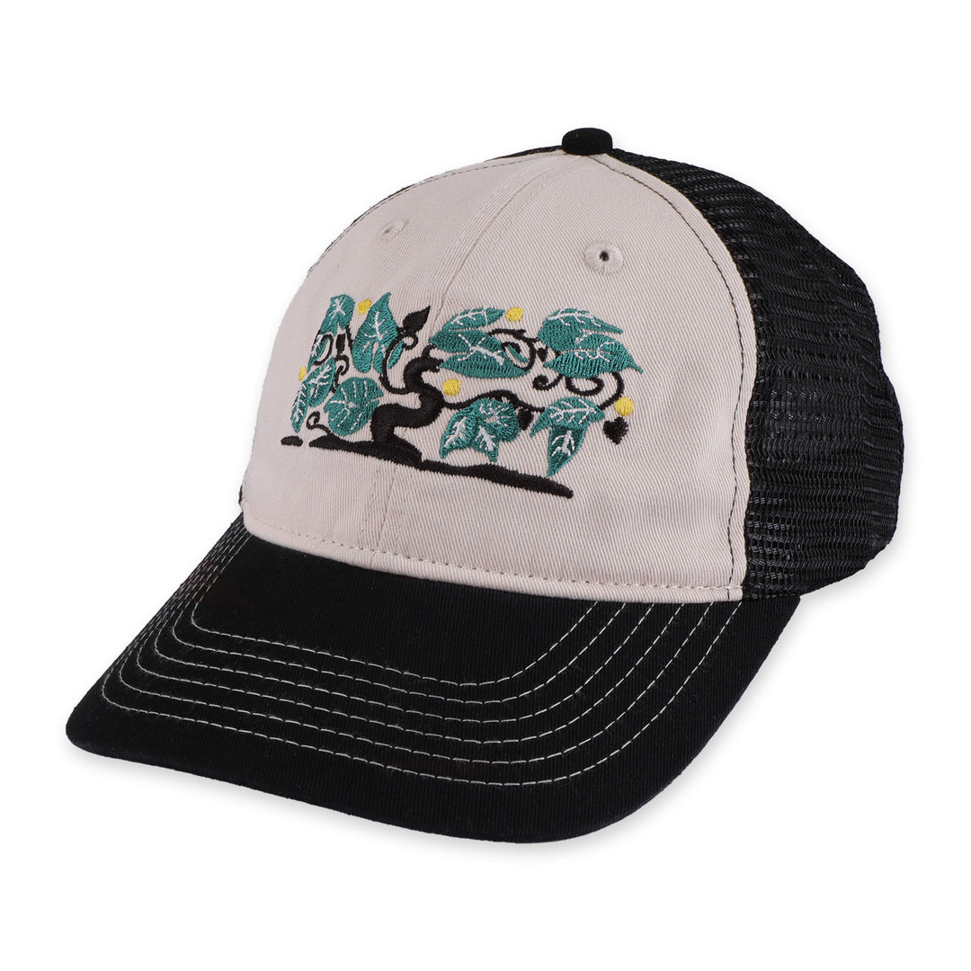 Passport Orchard Leagues Trucker - Black