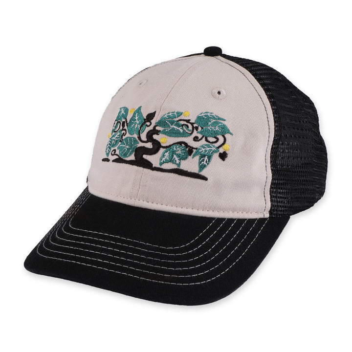 Passport Orchard Leagues Trucker - Black