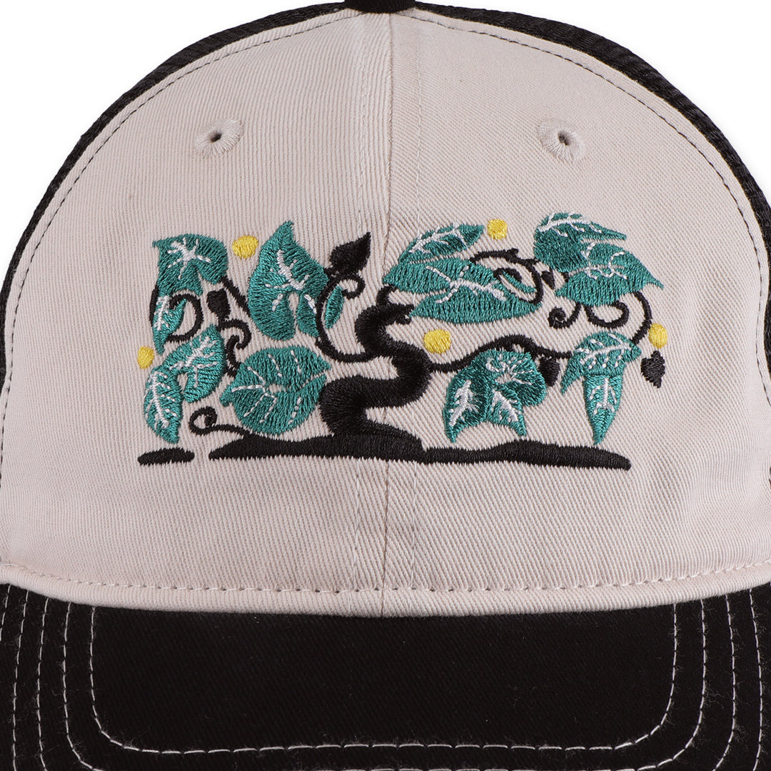 Passport Orchard Leagues Trucker - Black