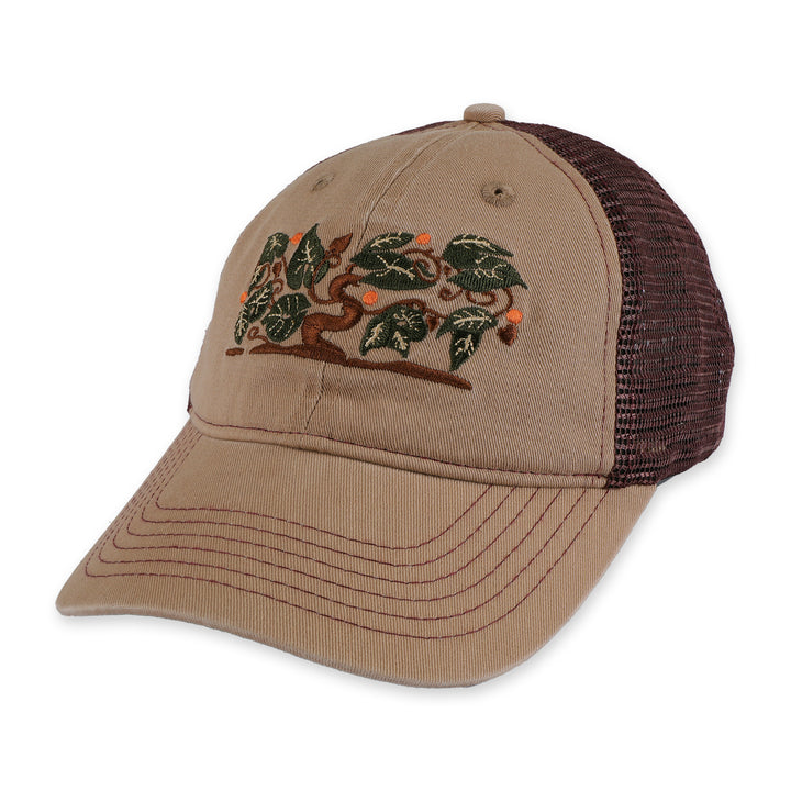 Passport Orchard Leagues Trucker - Sand