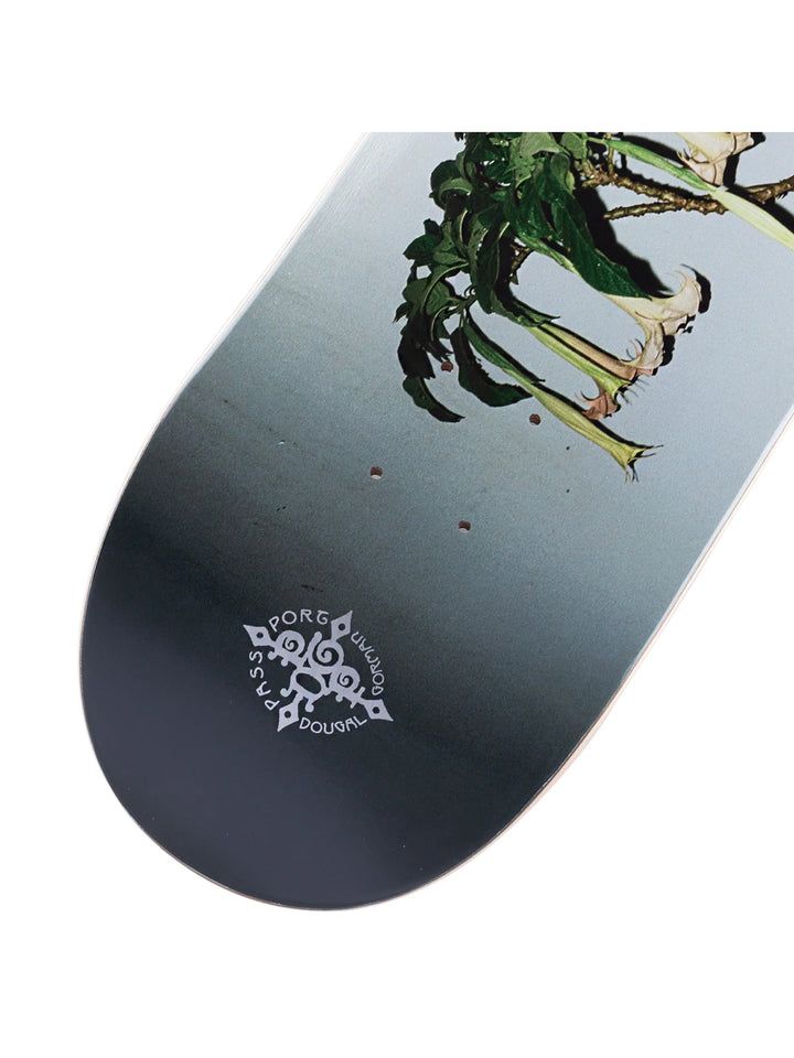 Passport DG Series Angel Trumpets - 8.125
