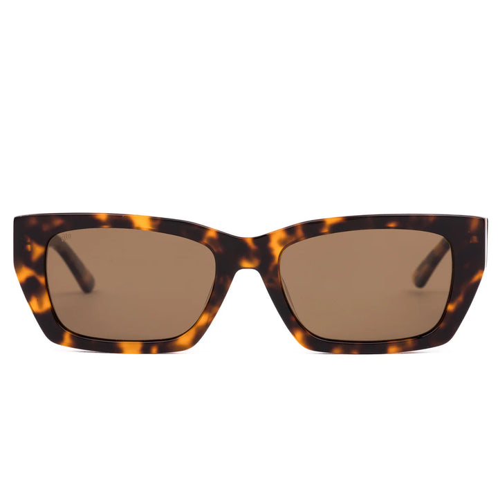 Sito Outer Limits - Honey Tort / Brown