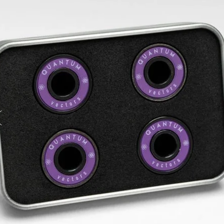 Quantum Vector Series Bearings Kit