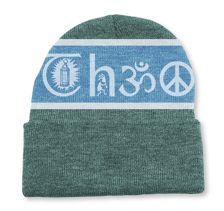 Theories Coexist Beanie - Evergreen