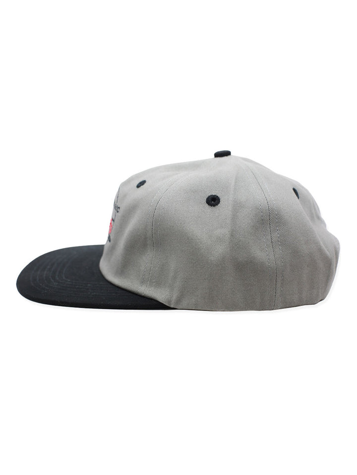 Theories Magic Bullet Snapback