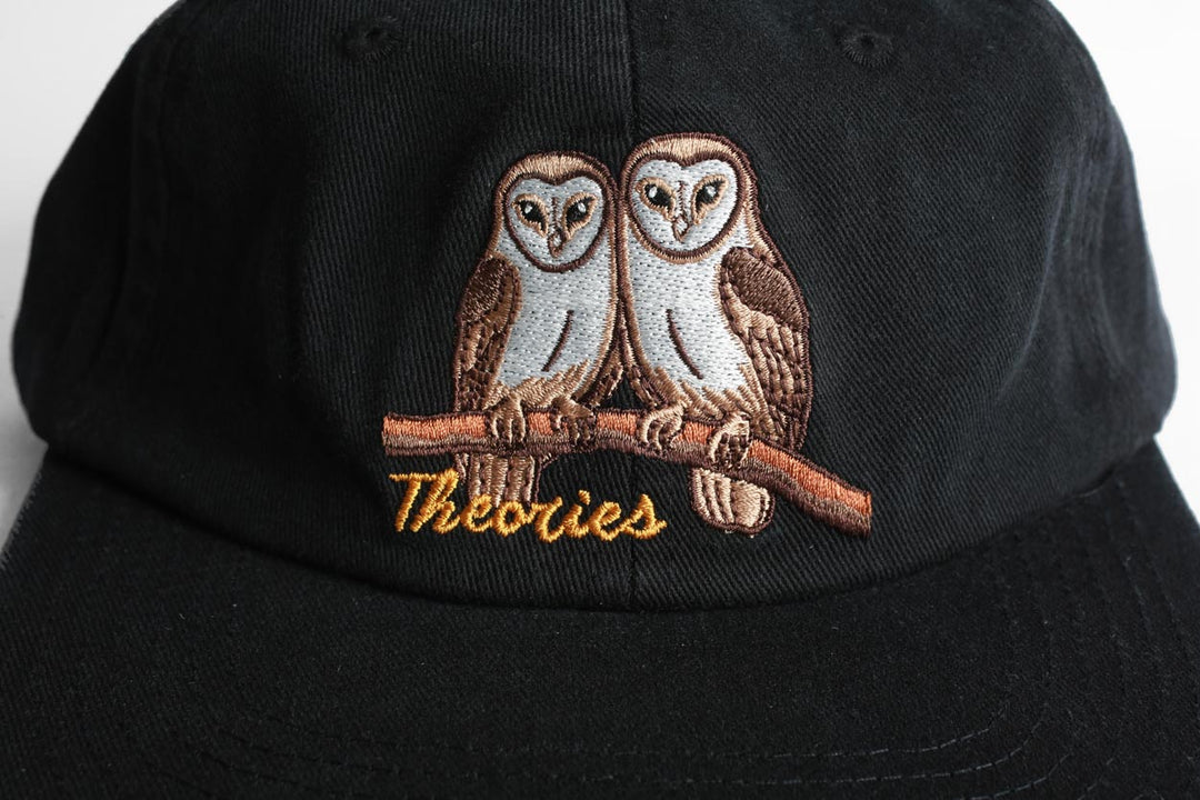 Theories Not What They Seem Strapback - Black
