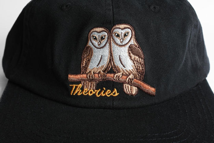 Theories Not What They Seem Strapback - Black