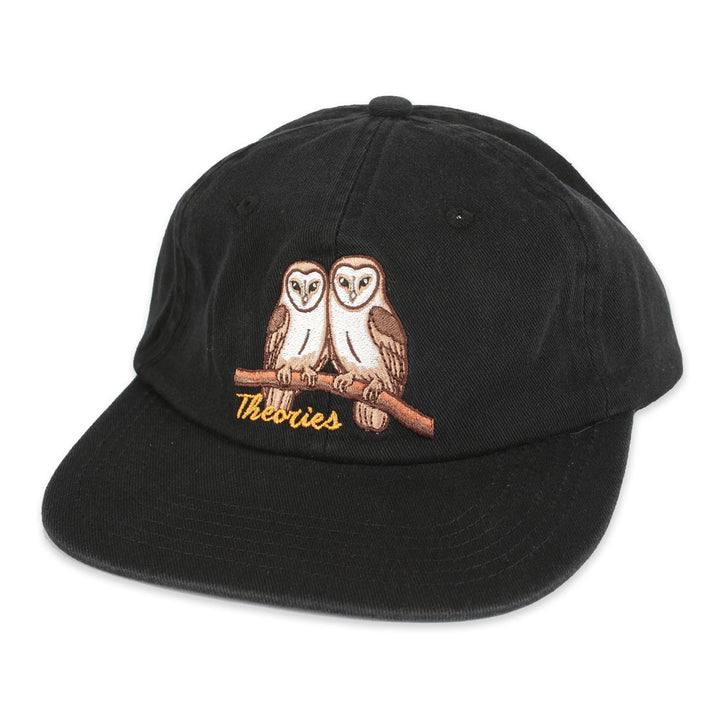 Theories Not What They Seem Strapback - Black