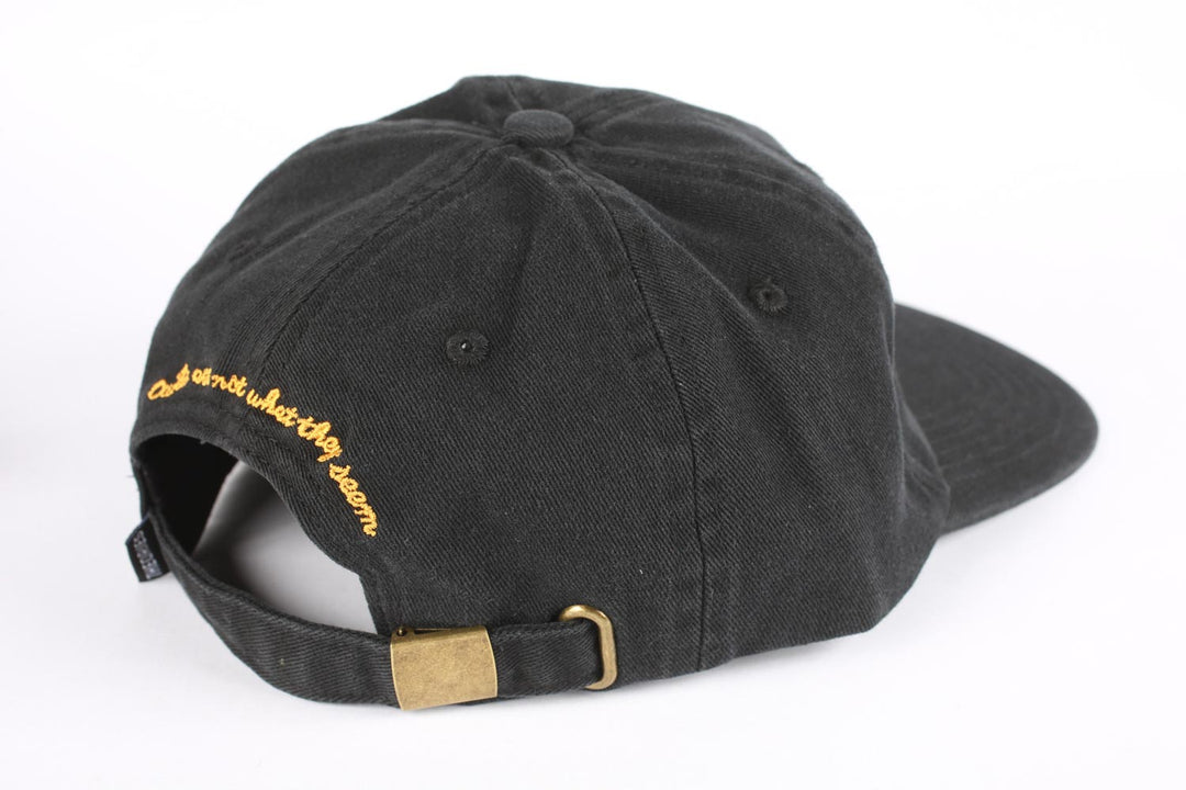 Theories Not What They Seem Strapback - Black