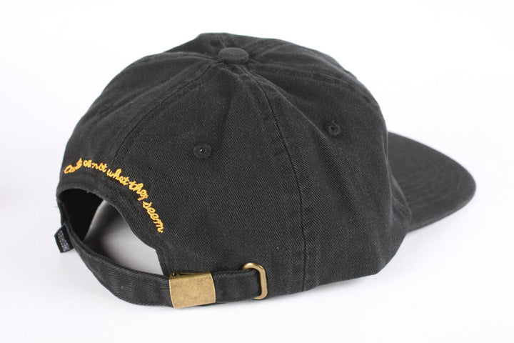 Theories Not What They Seem Strapback - Black