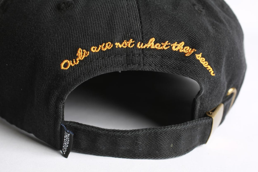 Theories Not What They Seem Strapback - Black
