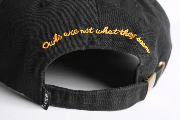 Theories Not What They Seem Strapback - Black