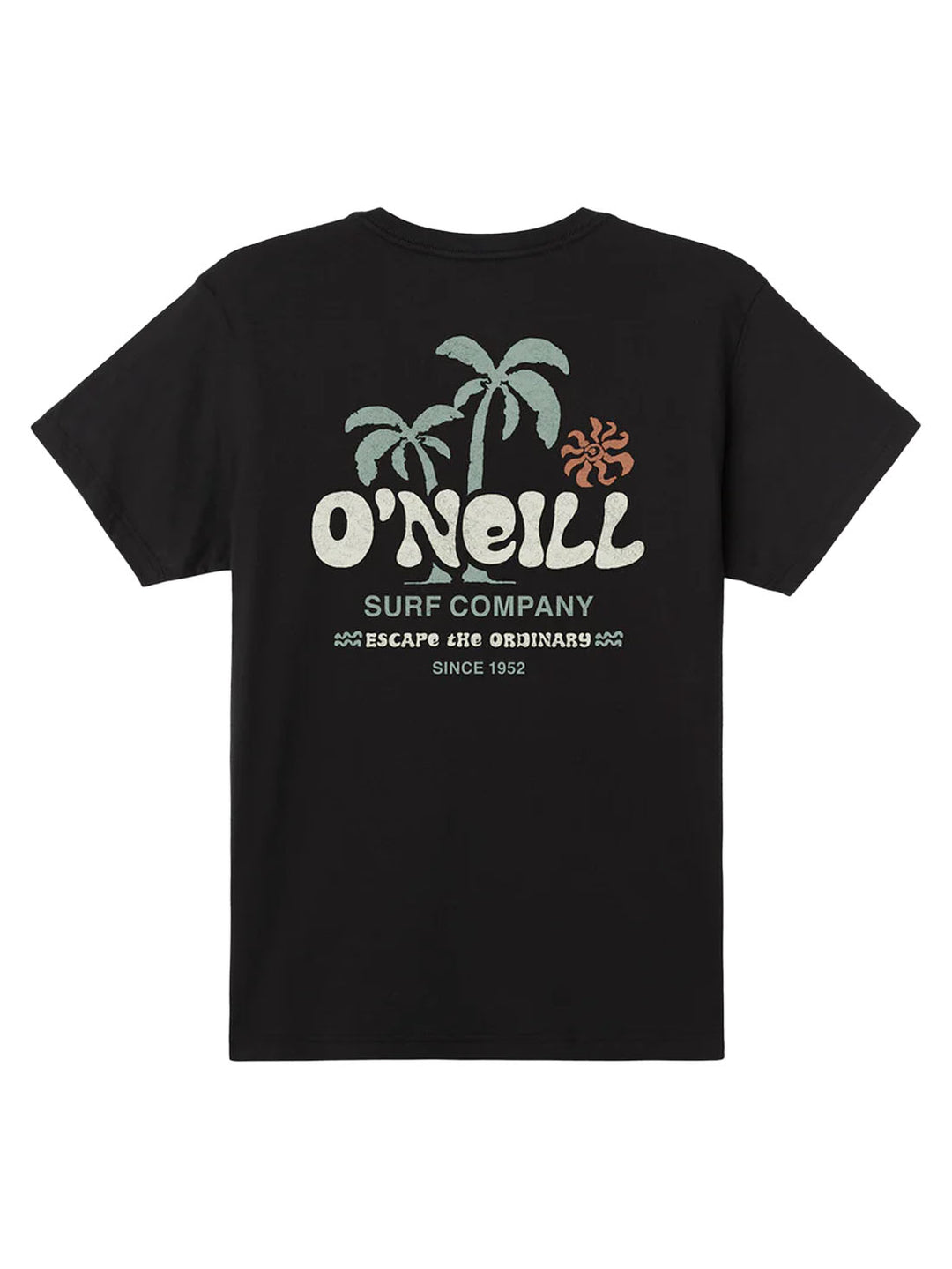 O'Neill Loose Standard Tee - Black