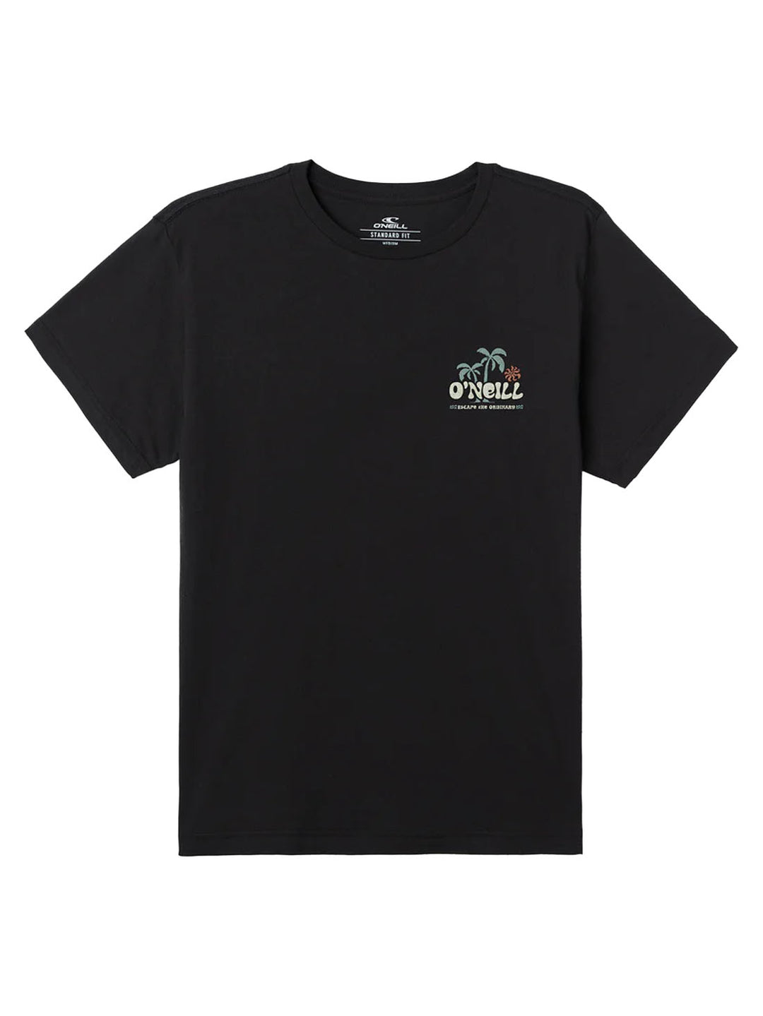 O'Neill Loose Standard Tee - Black