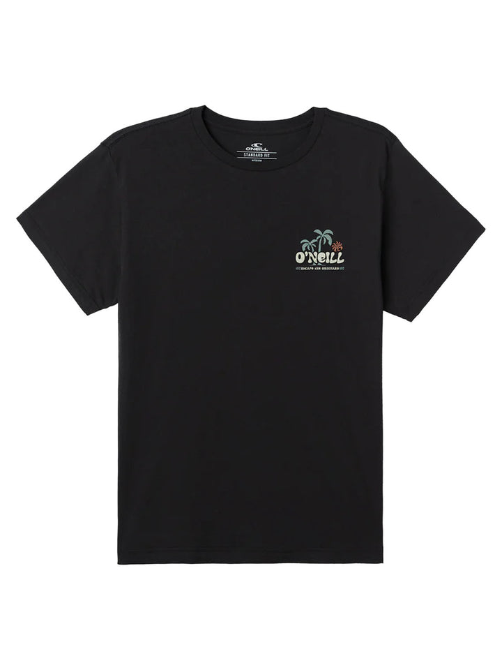 O'Neill Loose Standard Tee - Black