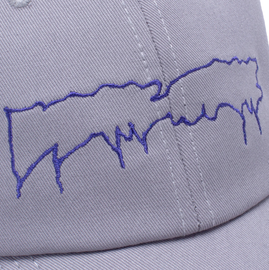 FA Drip Snapback