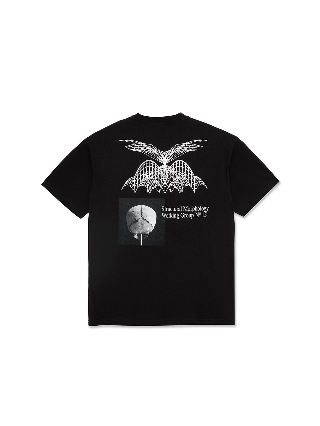 Polar Morphology Tee