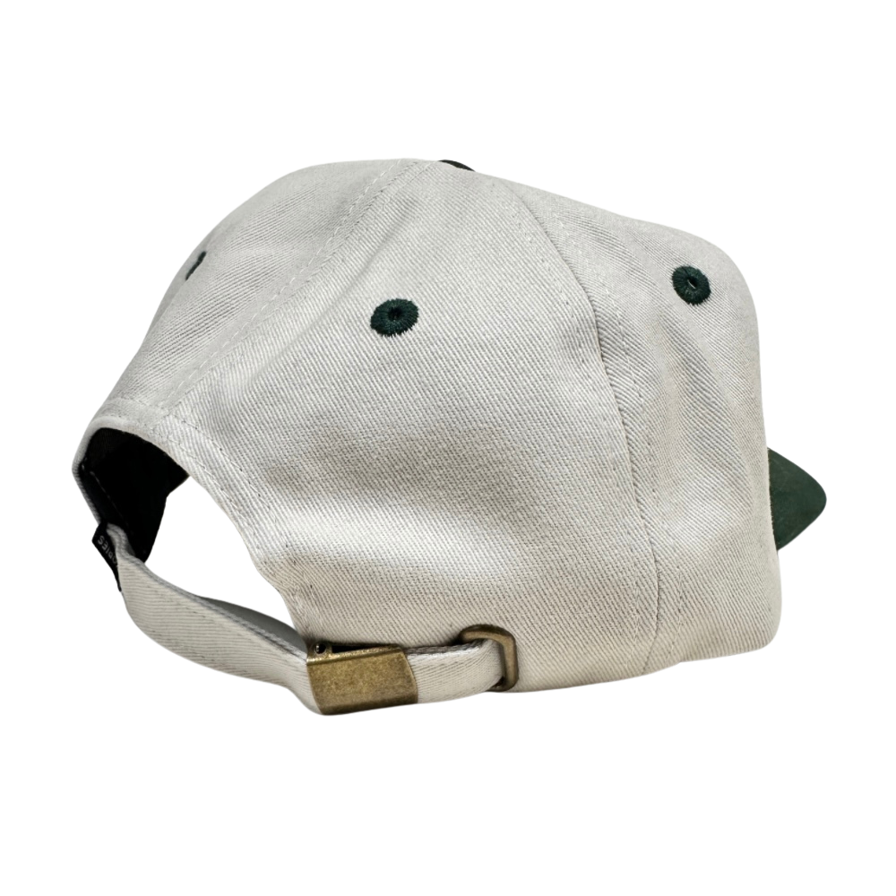 Theories Hand of Theories Strapback - Pearl / Green